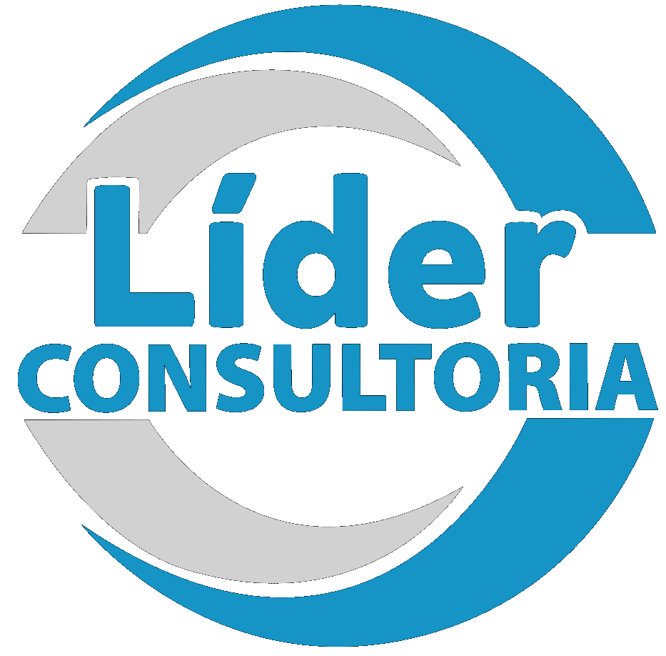 Líder Consultoria